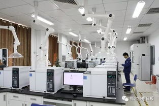 一季度鄂爾多斯經濟運行總體平穩向好，計算機系統集成產業展現活力